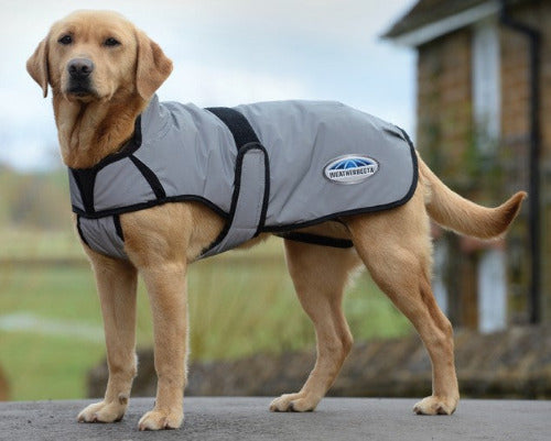 Weatherbeeta Comfitec Reflective Dog Coat Medium FREE GIFT - CLOSEOUT