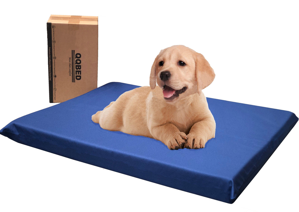 3" Waterproof Gel Memory Foam Pet Bed with Vibrant Color - 2 Sizes in 6 Colors